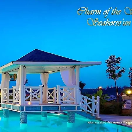 Seahorse Deluxe Hotel 3*