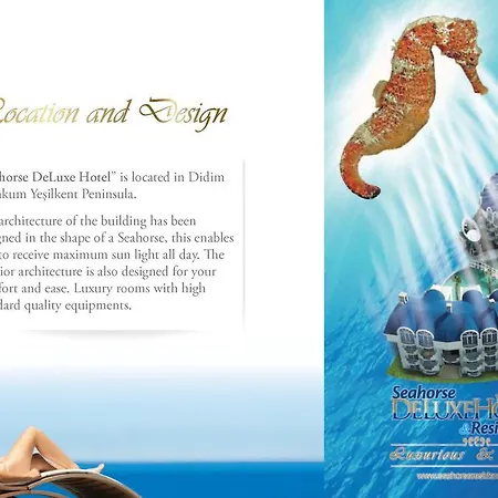 Seahorse Deluxe Hotel 3*