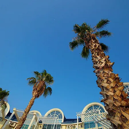Seahorse Deluxe 3* ديديم
